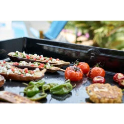 Pack Plancha électrique Forge Adour MODERN 45 Acier Noir + Chariot -Meilleur Endroit Barbecue cuisson plancha forge adour modern 2