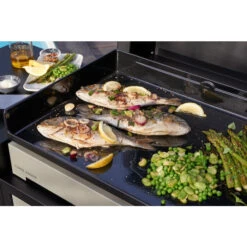 Plancha électrique Forge Adour PREMIUM 60 Acier Noir Et Gris -Meilleur Endroit Barbecue cuisson plancha premium 1